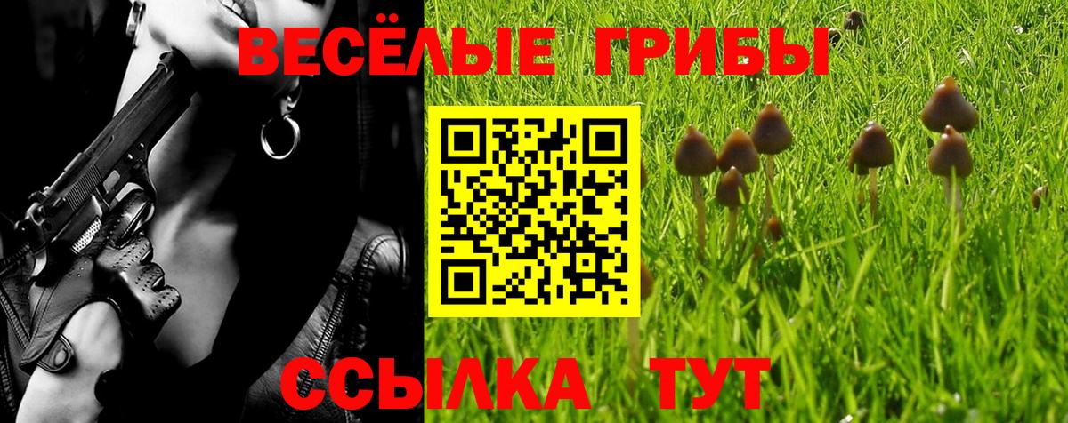Нефтекумск  Псилоцибиновые грибы MAGIC MUSHROOMS  Вход с VPN 