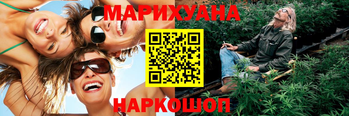 Каннабис сатива Нефтекумск